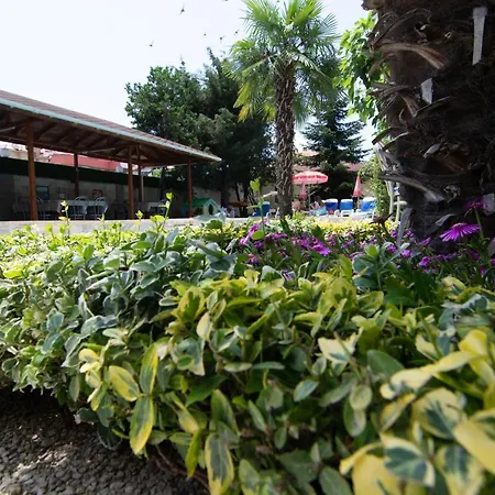 Хотел Atlantic Complex Равда